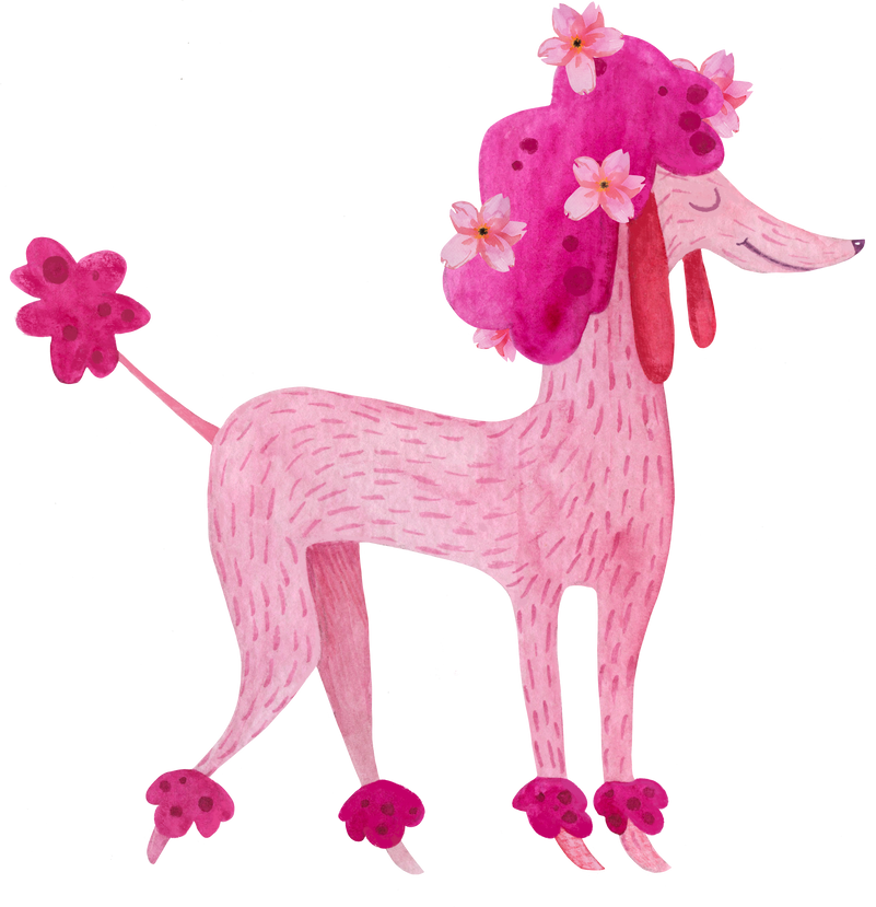 Watercolor pink poodle dog